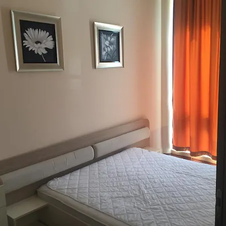 Apartment 82